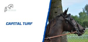 Lire la suite à propos de l’article Comment gérer et optimiser son capital turf pour parier intelligemment?