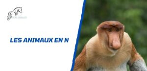 Lire la suite à propos de l’article Quels sont les animaux en N: la liste complète à connaître