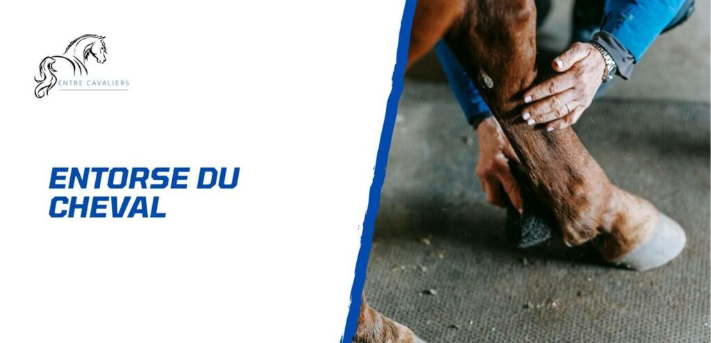 entorse cheval