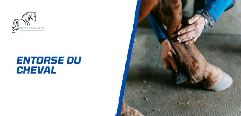 entorse cheval