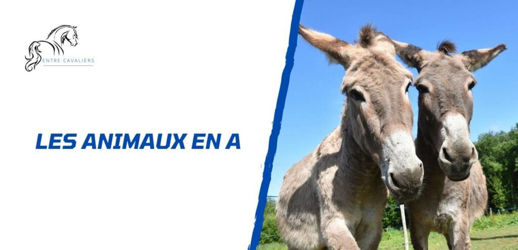 animaux en a