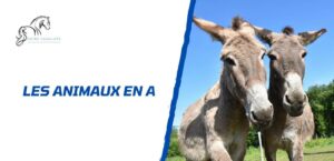 Lire la suite à propos de l’article Tous les animaux en A: la liste complète à découvrir