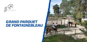 Lire la suite à propos de l’article Le Grand Parquet de Fontainebleau: un lieu emblématique pour les sports équestres