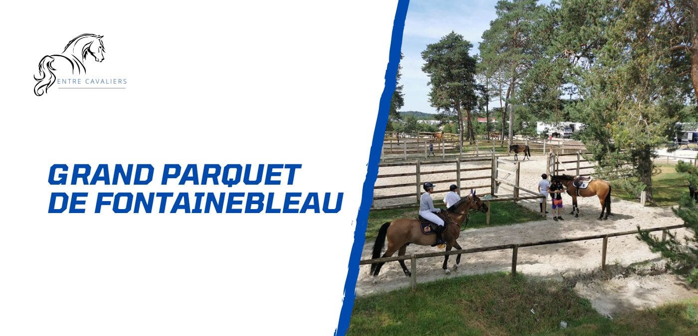 grand parquet fontainebleau