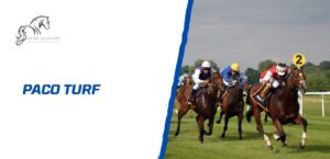 Lire la suite à propos de l’article Découverte de Paco Turf: que vaut ce site de pronostics hippiques?