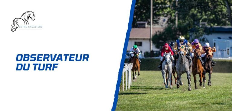 observateur du turf
