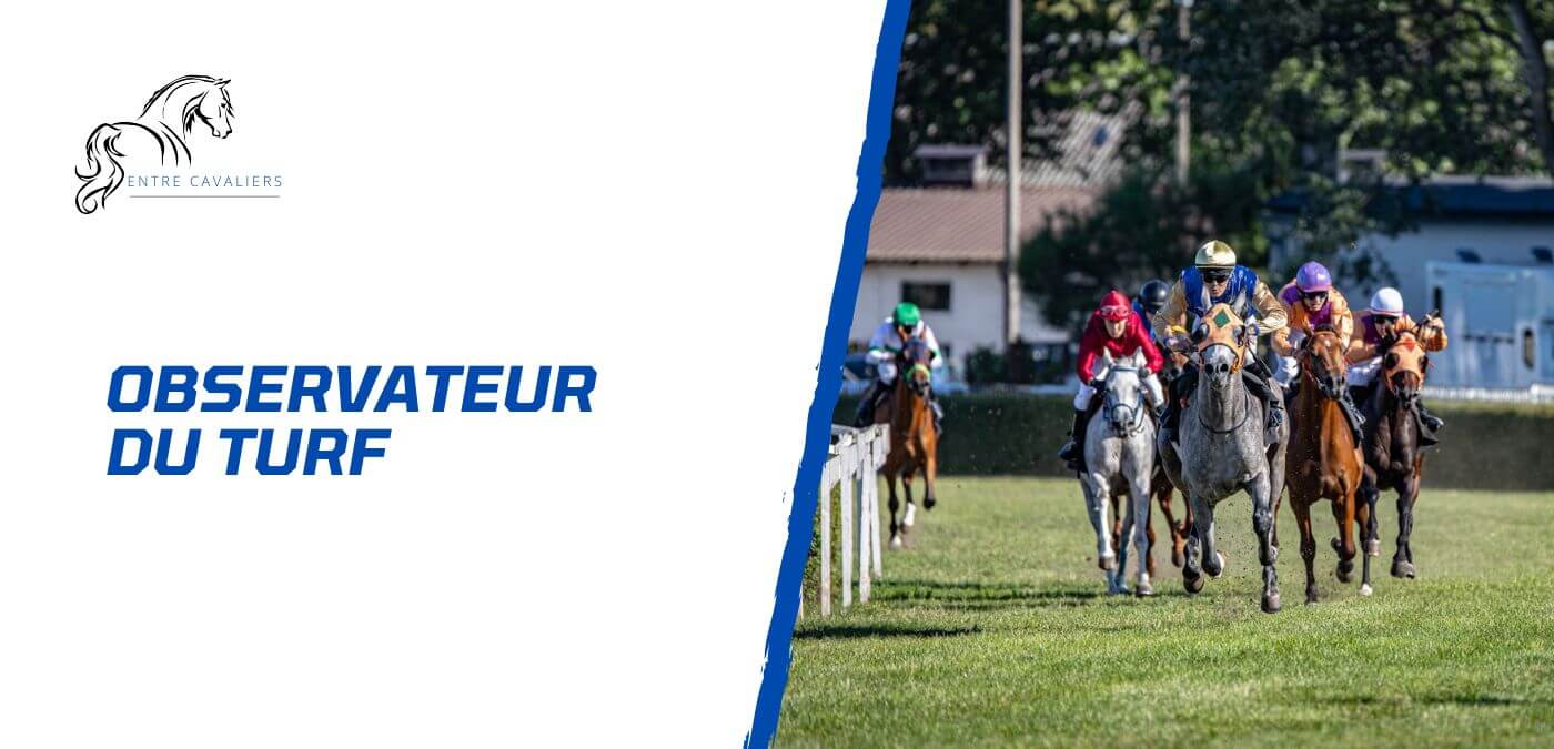 observateur du turf