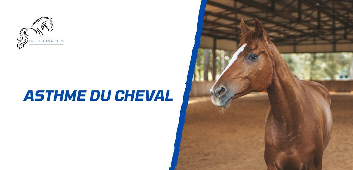 asthme cheval