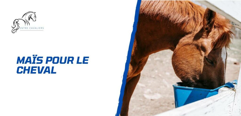 mais cheval