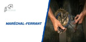 Lire la suite à propos de l’article Maréchal-ferrant: un métier de transmission entre tradition et modernité
