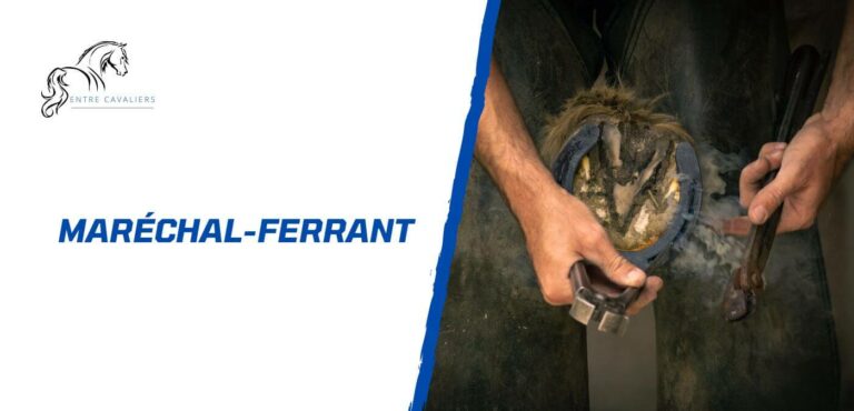 maréchal-ferrant
