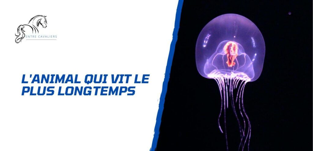 quel est l'animal qui vit le plus longtemps