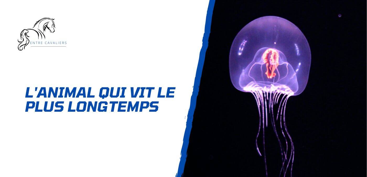 quel est l'animal qui vit le plus longtemps