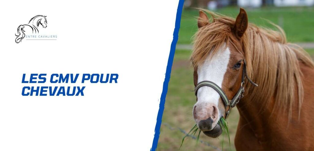 cmv cheval