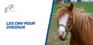 Lire la suite à propos de l’article Quel CMV choisir pour son cheval?