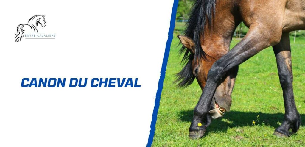 canon cheval
