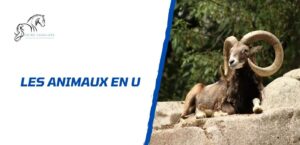 Lire la suite à propos de l’article Tous les animaux en U: la liste complète à découvrir
