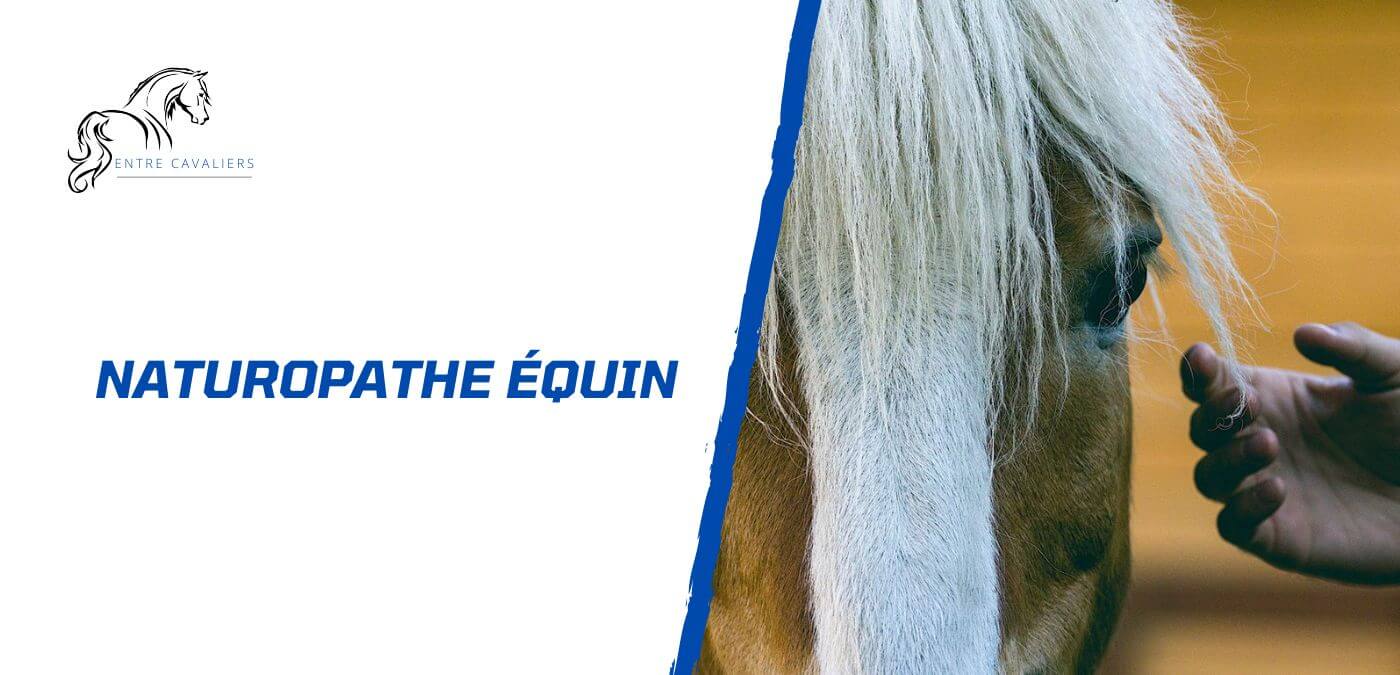 naturopathe équin