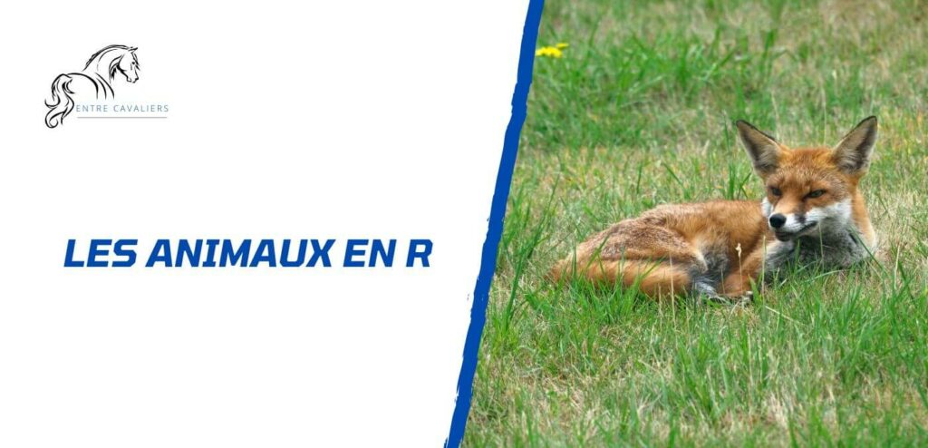 animaux en R
