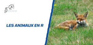 Lire la suite à propos de l’article Quels sont les animaux en R: la liste complète à découvrir