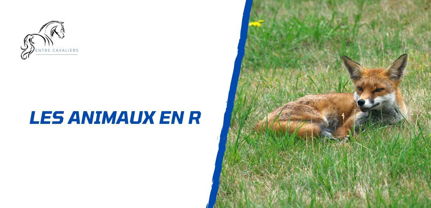animaux en R