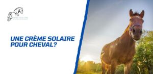 Lire la suite à propos de l’article Crème solaire pour cheval: pourquoi et quand en mettre?
