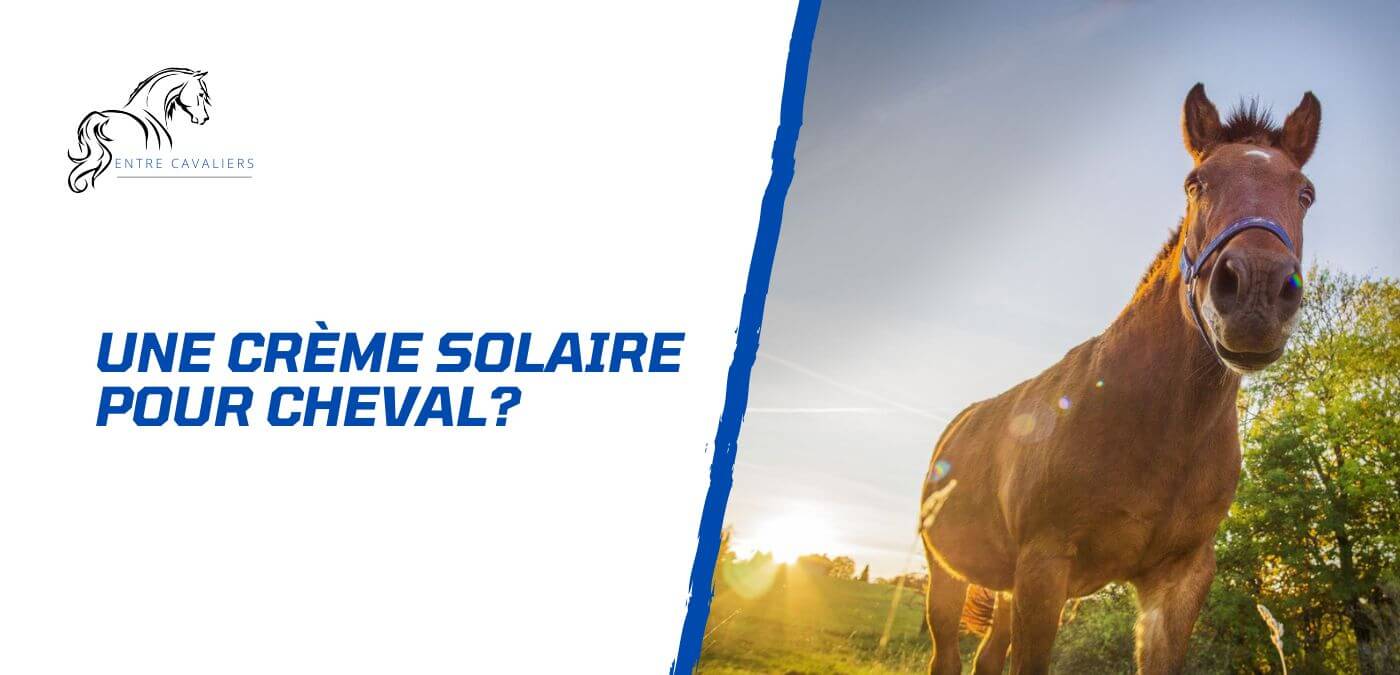 crème solaire cheval