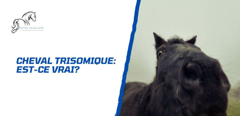 cheval trisomique