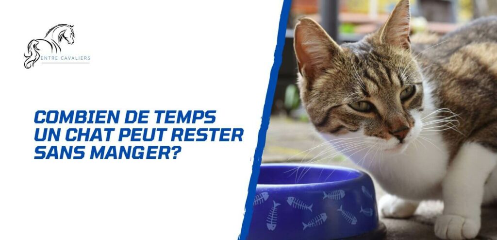 combien de temps un chat peut rester sans manger