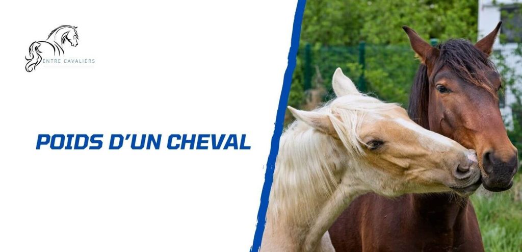 poids cheval