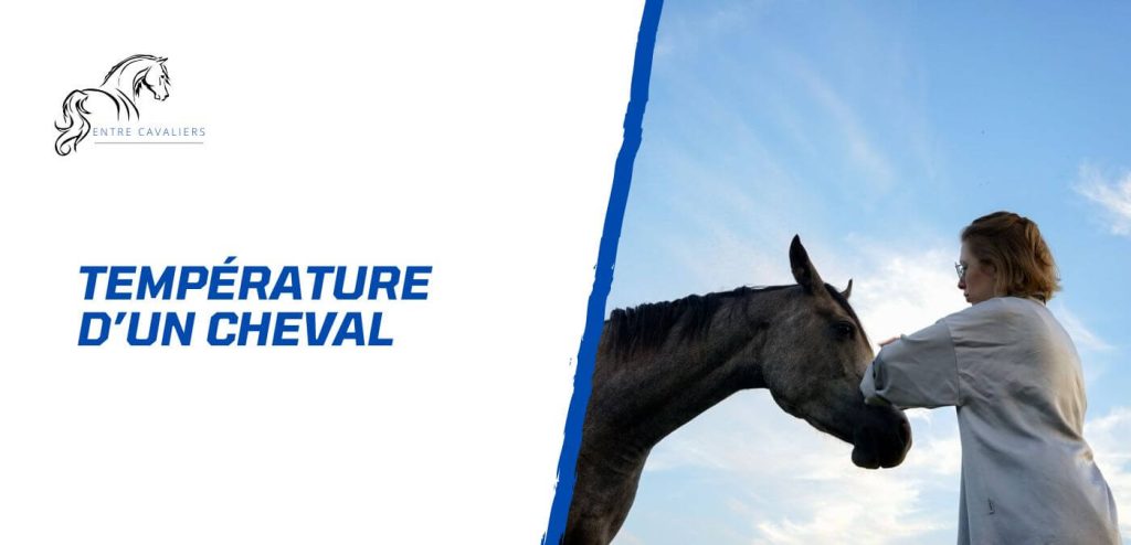 température cheval