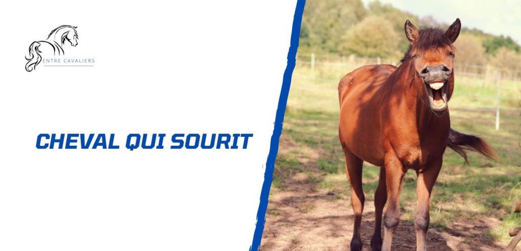 cheval qui sourit