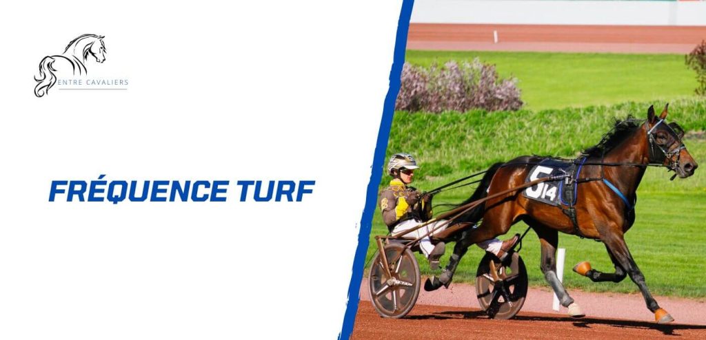 frequence turf